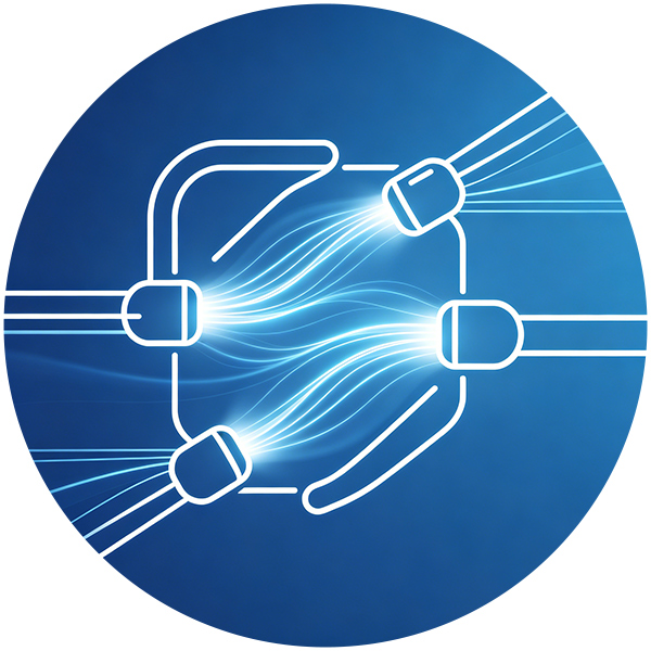 1. Soluzioni di connessione FO